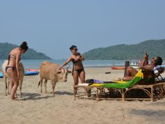 GONE TO GOA
