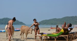 GONE TO GOA