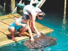 Blue Eden: Hinatuan’s Enchanted River