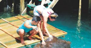 Blue Eden: Hinatuan’s Enchanted River