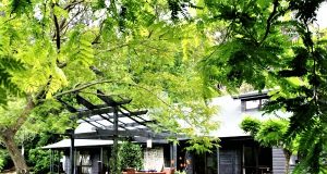Kerikeri’s Magic Cottages