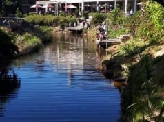 Matakana Beckons.